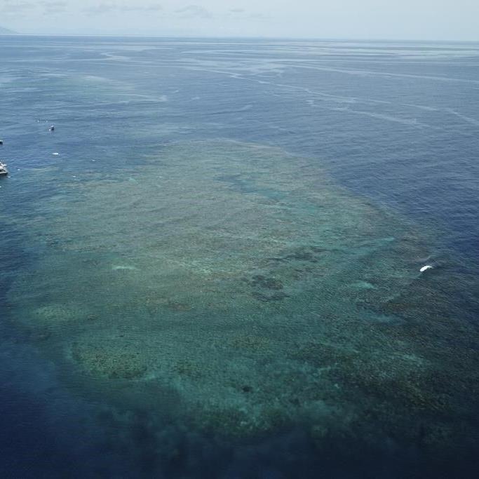 Great Barrier Reef waters were hottest in 400 years over the past decade, study finds